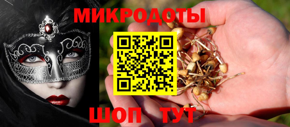 Узловая  Галлюциногенные грибы MAGIC MUSHROOMS  Вход с VPN 