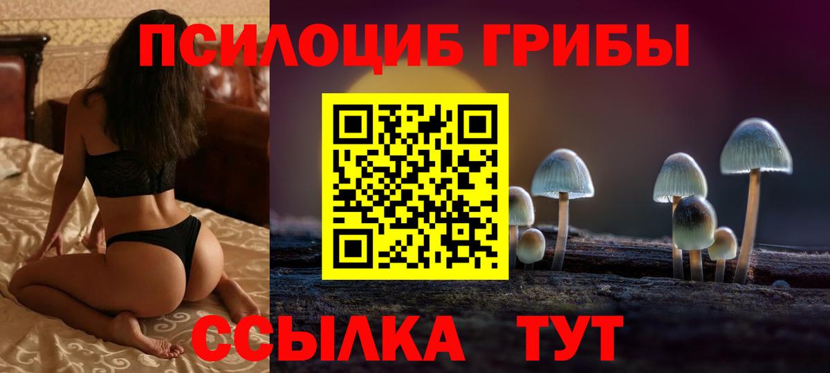 Псилоцибиновые грибы Psilocybe Узловая